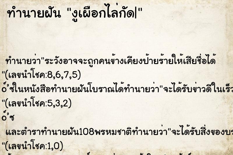ทำนายฝัน งูเผือกไล่กัด|